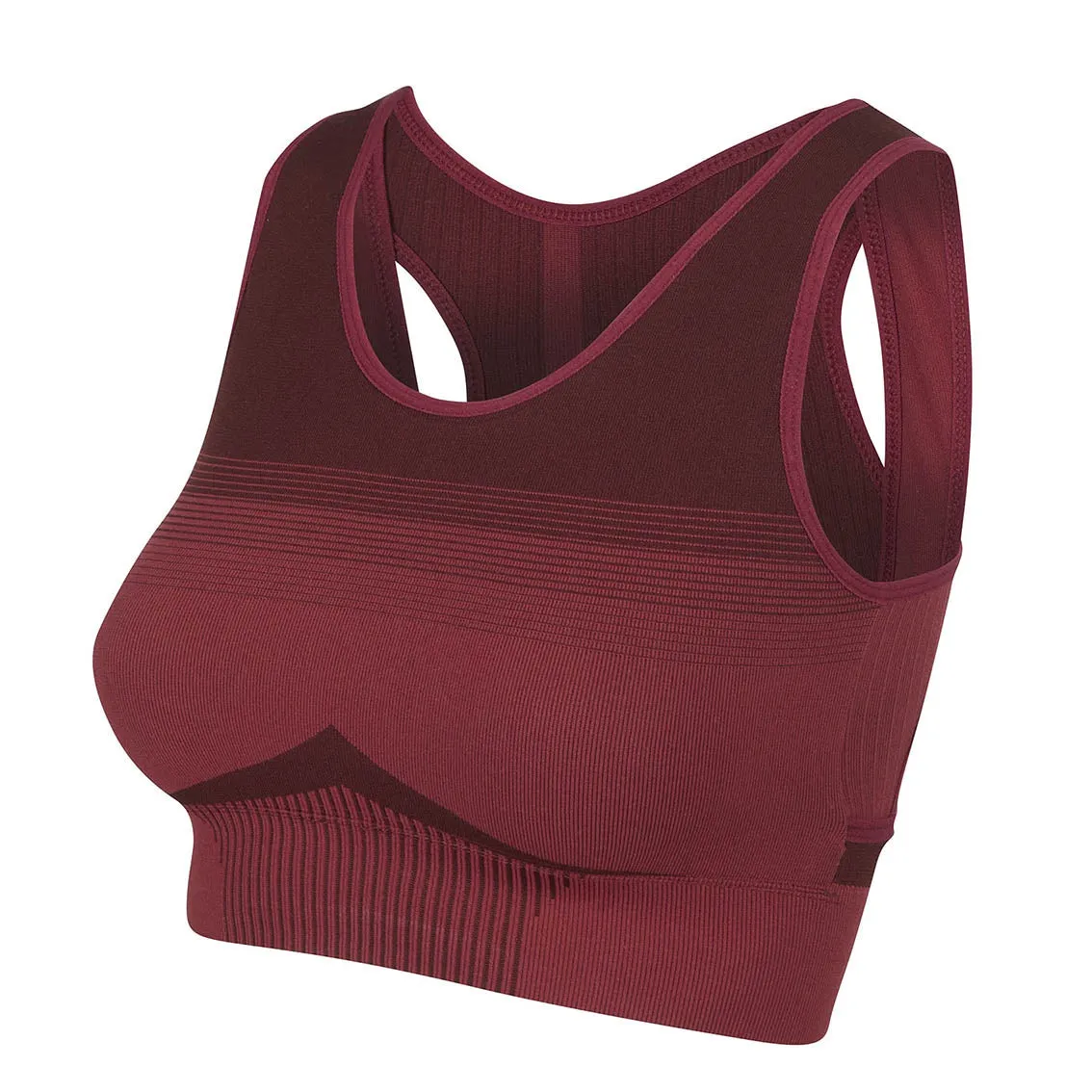 LeMieux Activewear Sports Bra