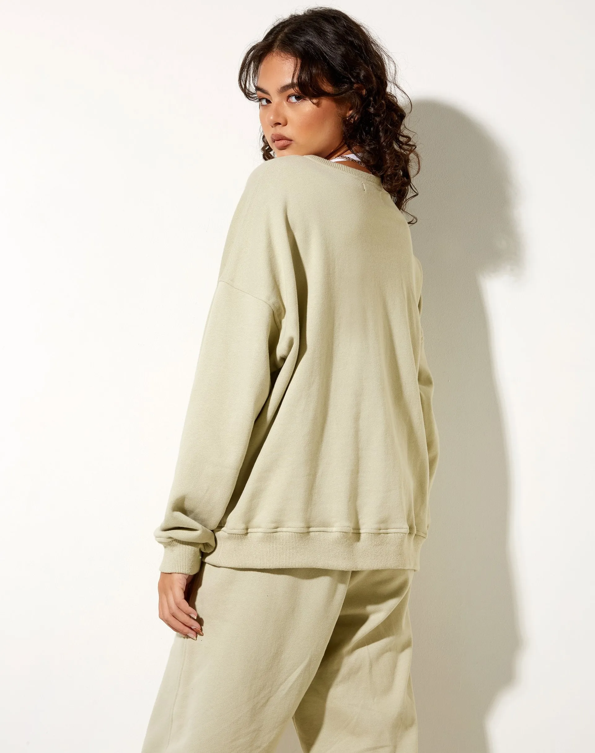 Ted Sweatshirt in Pastel Green Keepin It Casual